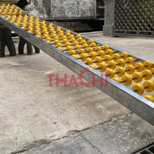 Băng chuyền con lăn bánh xe nhựa