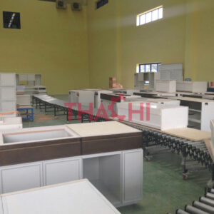 Băng chuyền con lăn thép D50